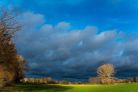 Gersprenzau-Jan-2021