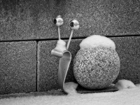 bedeckte Dekoschnecke