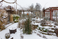 jj_Garten_im_Winter_MG_5568