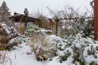 jj_Garten_im_Winter_MG_5571