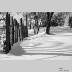 Schnee mit Zaun