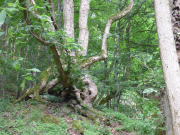 RZ_wer-gehoert-zu-wem