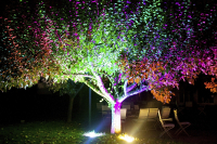 bunt beleuchteter Baum, nachts im Hotelgarten
