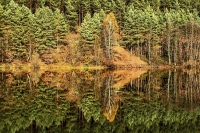 Marbachstausee