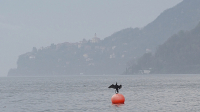 Impression am Lago Maggiore