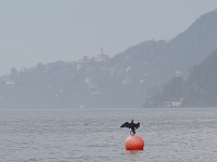 Impression am Lago Maggiore